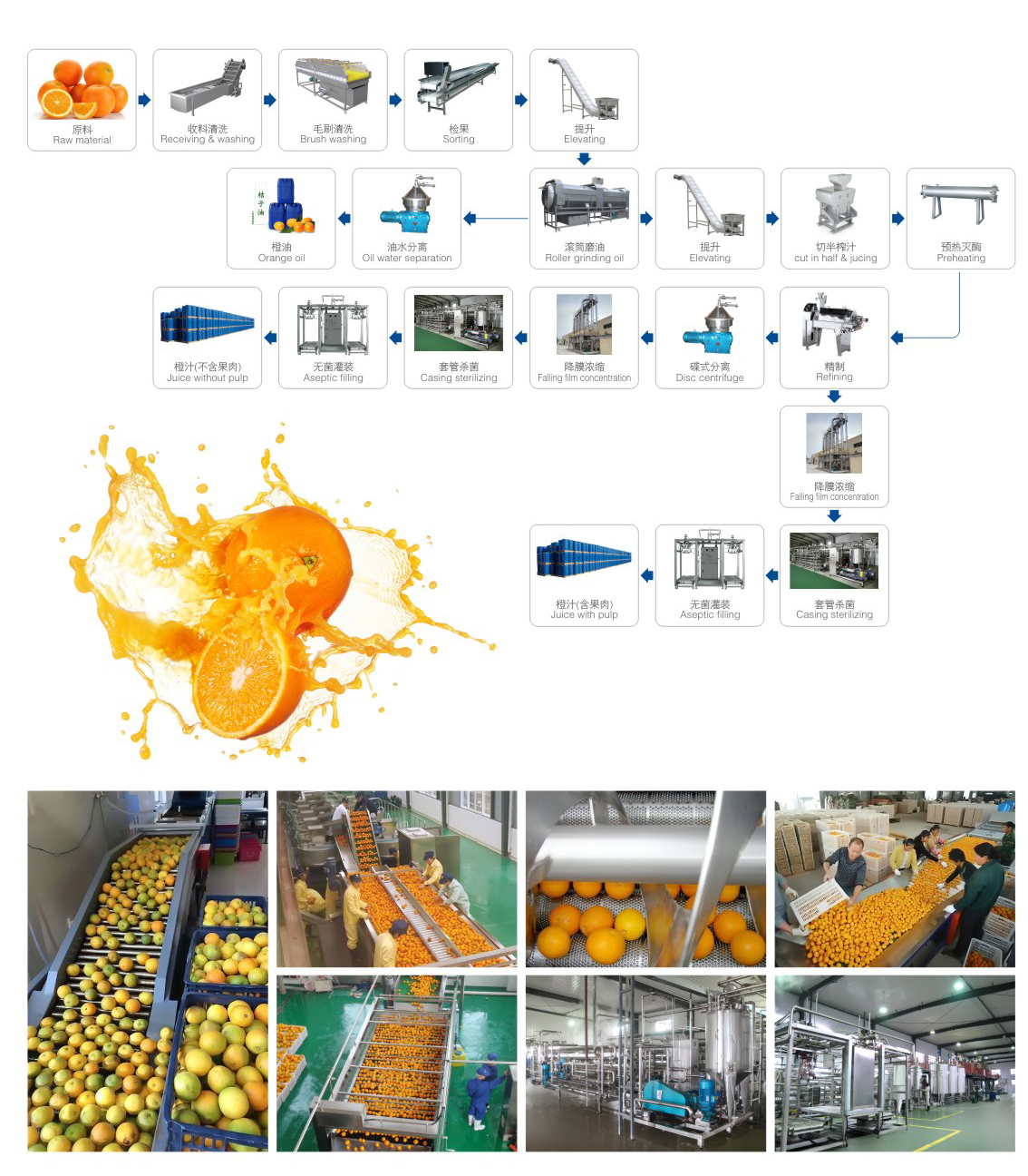 橙/柑橘/柠檬加工成套生产线